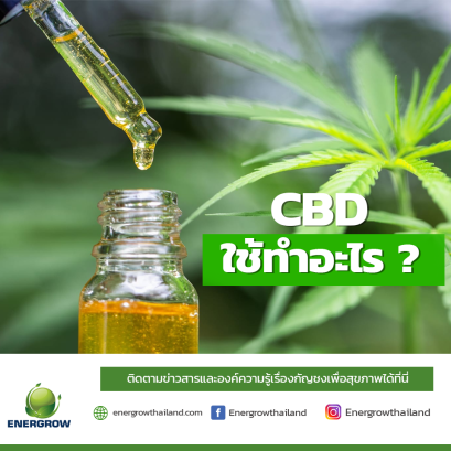  What is CBD used for?