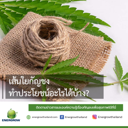 What are the benefits of hemp fiber?