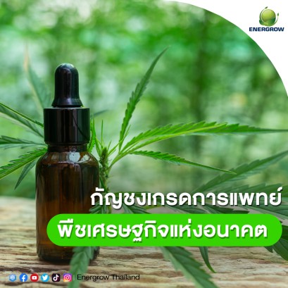 medical grade hemp economic crops of the future