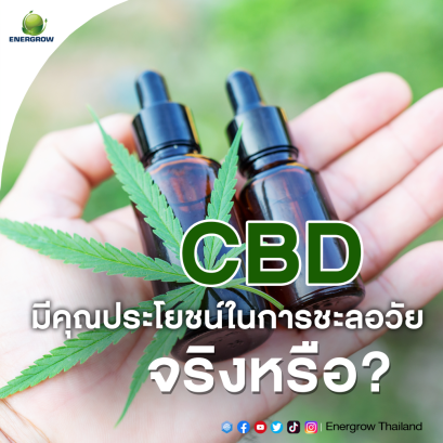  Is CBD really helpful in anti-aging?