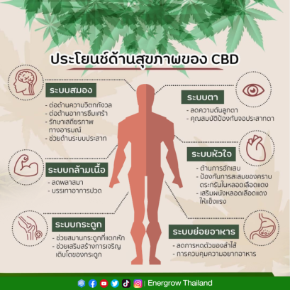  ประโยชน์ด้านสุขภาพของ CBD