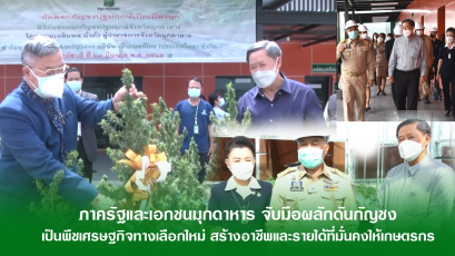 ภาครัฐและเอกชนมุกดาหารจับมือผลักดันกัญชงเป็นพืชเศรษฐกิจทางเลือกใหม่ สร้างอาชีพและรายได้ ให้เกษตรกร