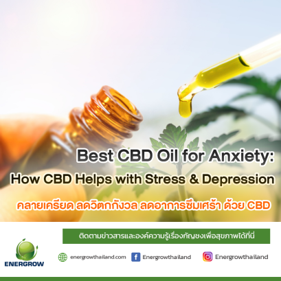  Best CBD Oil for Anxiety: How CBD Helps with Stress & Depression