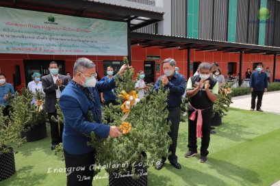 ผู้ว่าราชการจังหวัดมุกดาหาร เปิดงาน "พิธีตัดช่อดอกกัญชงปฐมฤกษ์" จังหวัดมุกดาหาร บริษัท เอ็นเนอร์โกร (ประเทศไทย) จำกัด 