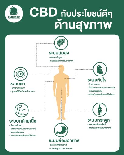 "CBD กับประโยชน์ดีๆ ด้านสุขภาพ"