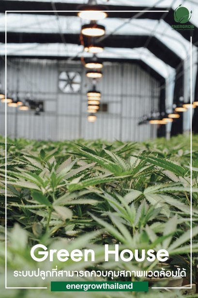 Green House ระบบโรงเรือนเพาะปลูกที่สามารถควบคุมได้