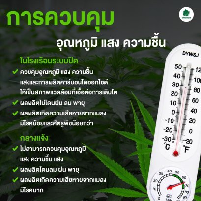 ปัจจัยการควบคุมอุณหภูมิ แสง ความชื้น