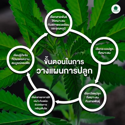 ขั้นตอนในการวางแผนปลูก ควรวางแผนอย่างไร?