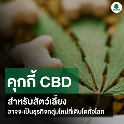 คุกกี้ CBD สำหรับสัตว์เลี้ยง อาจจะเป็นธุรกิจกลุ่มใหม่ที่เติบโตทั่วโลก !!!