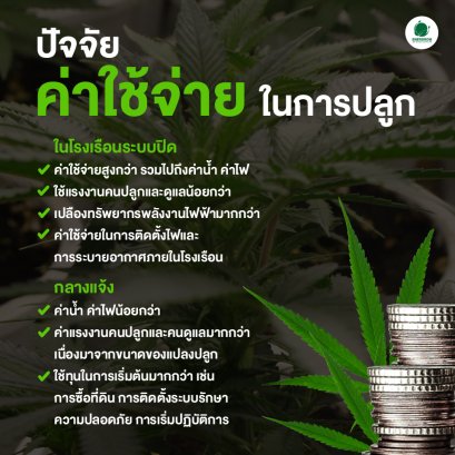 "ปัจจัย" ค่าใช้จ่าย ในการปลูก