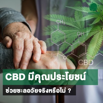CBD มีคุณประโยชน์ ช่วยชะลอวัยจริงหรือไม่ ?