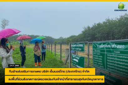 ทีมฝ่ายส่งเสริมการเกษตร บริษัท เอ็นเนอร์โกร (ประเทศไทย) จำกัด ลงพื้นที่ร่วมสังเกตการณ์ ตรวจแปลงกับเจ้าหน้าที่สาธารณสุขจังหวัดมุกดาหาร