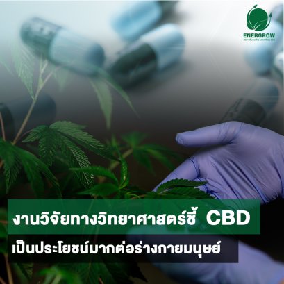 งานวิจัยทางวิทยาศาสตร์หลายชิ้นแสดงให้เห็นว่า CBD เป็นประโยชน์มากต่อร่างกายมนุษย์