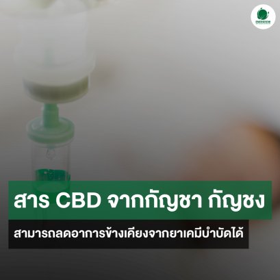 สาร CBD จากกัญชา หรือ กัญชง สามารถลดอาการข้างเคียงจากยาเคมีบำบัดได้