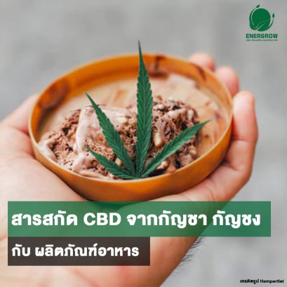สารสกัด CBD จากกัญชา กัญชง กับ ผลิตภัณฑ์อาหาร