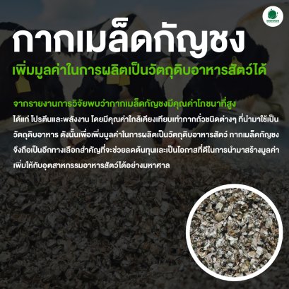 กากเมล็ดกัญชง เพิ่มมูลค่าในการผลิตเป็นวัตถุดิบอาหารสัตว์ได้