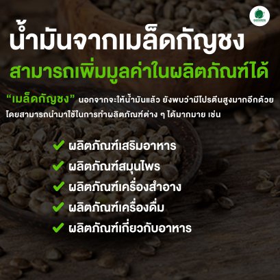 น้ำมันจากเมล็ดกัญชง สามารถเพิ่มมูลค่าในผลิตภัณฑ์ได้