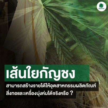 เส้นใยกัญชง สามารถสร้างได้ให้อุตสาหกรรมสิ่งทอและเครื่องนุ่งห่มจริงหรือ?