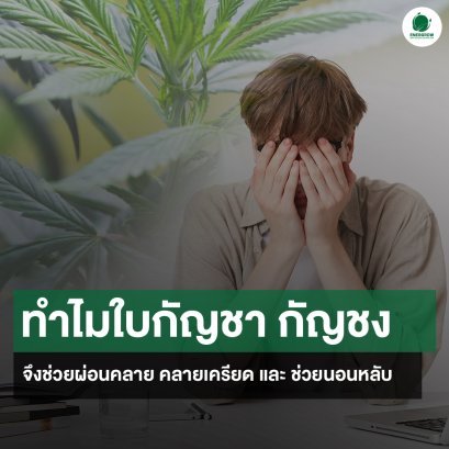 ทำไมใบกัญชา กัญชง จึงช่วยผ่อนคลาย คลายเครียด และ ช่วยนอนหลับ