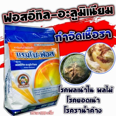 แรมโบฟอส ฟอสอีทิล-อะลูมิเนียม 80% 1 กิโลกรัม