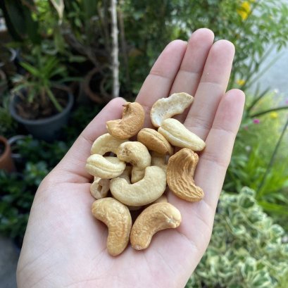 เม็ดมะม่วงหิมพานต์