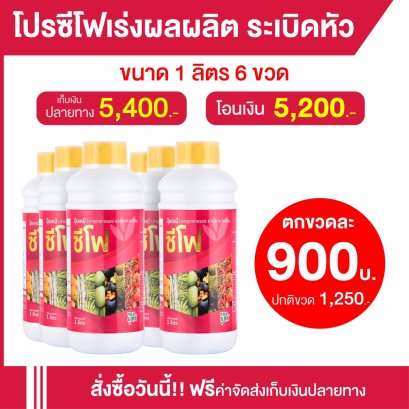 ปุ๋ยน้ำซีโฟ 1000 ซีซี 6 ขวด