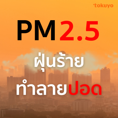 PM2.5 ฝุ่นร้าย ทำลายปอด