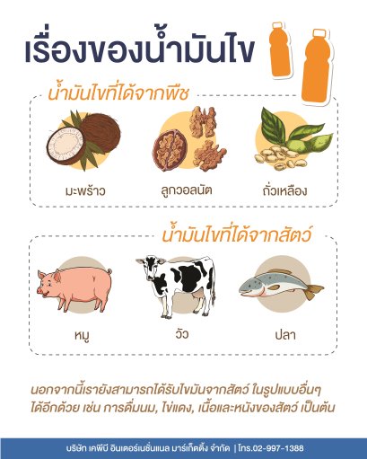 เรื่องของน้ำมันไข