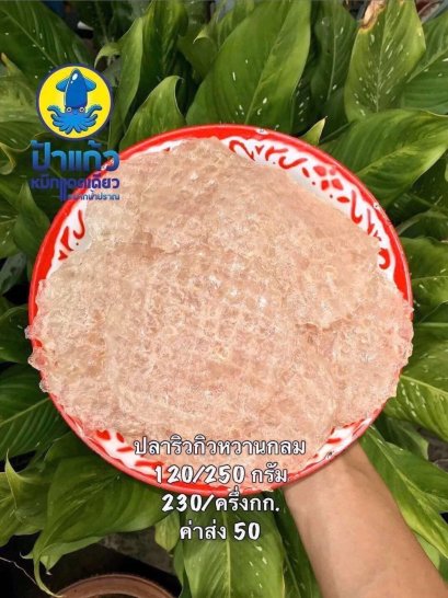 ปลาริวกิวกลม