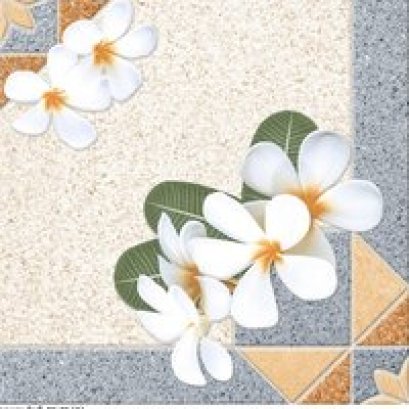 16x16 มาดาม โพนี A