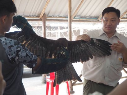 วช. หนุนติดอุปกรณ์ส่งสัญญาณดาวเทียมติดตามเส้นทางอพยพเหยี่ยวดำไทยไปอินเดีย