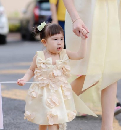 Little Princess Dress