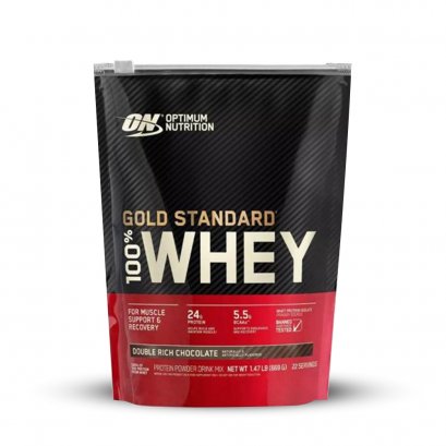 Optimum Nutrition 100% Whey Protein Gold Standard - 1 Lbs