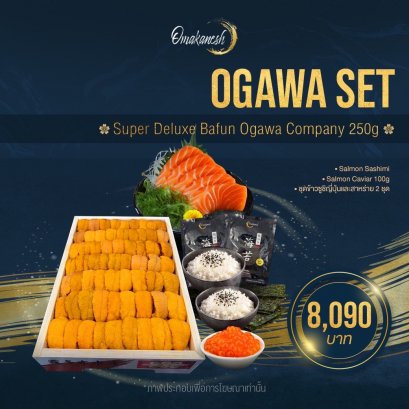 Ogawa Company Set