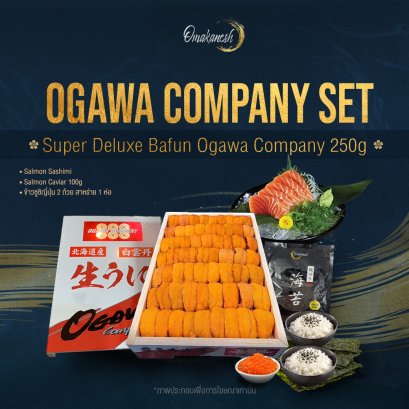Ogawa Company Set
