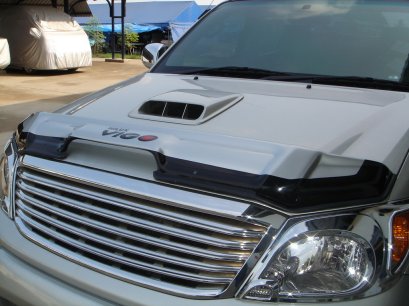 1.Bug Shield Guard (Big Size)