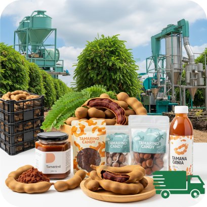 ขุมทรัพย์จากสวนมะขามหวานสู่โอกาสทองของธุรกิจ 