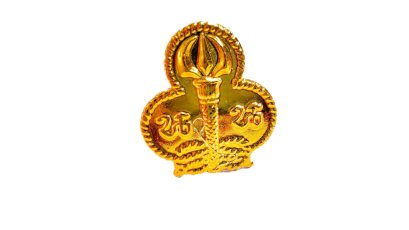 ว๊อกเกิ้ลเนตรนารีสามัญ