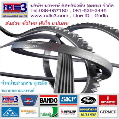 จำหน่ายสายพาน ขายสายพาน พื้นที่ ถนน พุทธมณฑล สาย 5