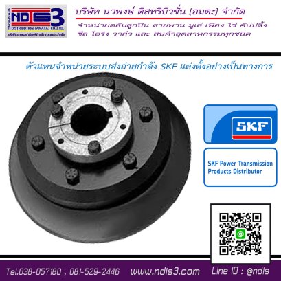 เฟล็กซ์ คัปปลิ้ง  SKF PHE F250 