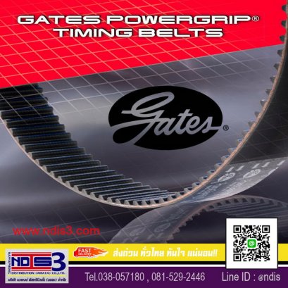 ขายสายพานGATES