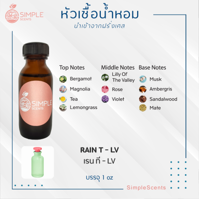 RAIN T - LV / เรน ที - LV