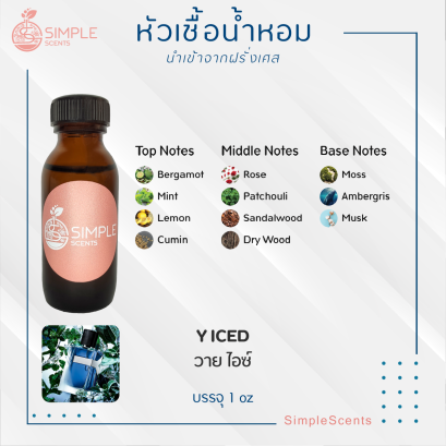 Y ICED / วาย ไอซ์