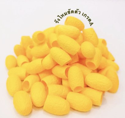 รังไหม สีทอง เกรด A