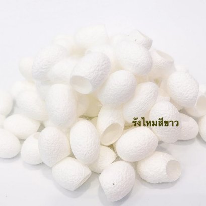 รังไหม สีขาว