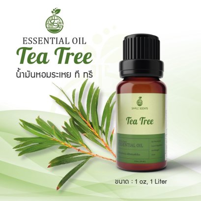 Tea Tree Essential Oil / น้ำมันหอมระเหย ที ทรี / Tea Tree Oil 1 oz