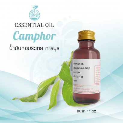 Camphor Essential Oil / น้ำมันหอมระเหย การบูร / Camphor Oil 1 oz
