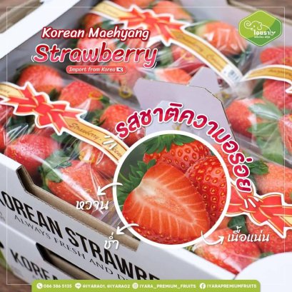 สตรอว์เบอร์รี่เกาหลี