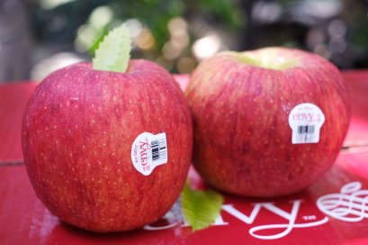 แอปเปิ้ลเอนวี่ นิวซีแลนด์ 35 ลูก (SZ.35)
