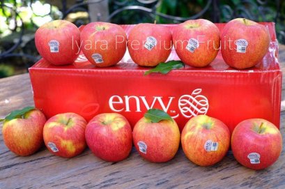 แอปเปิ้ล Envy 24 ลูก